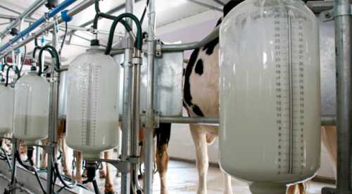 Спека піднімає ціни на молоко