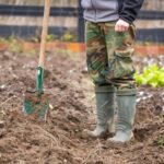 Чи потрібно перекопувати город восени – поради дачникам