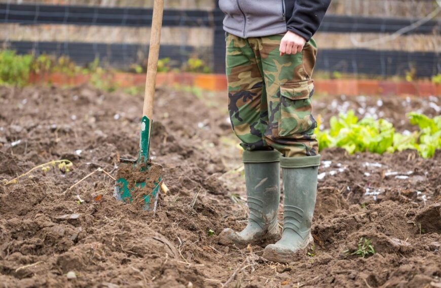 Чи потрібно перекопувати город восени – поради дачникам