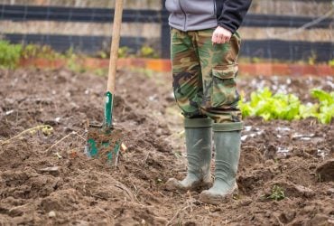 Чи потрібно на зиму перекопувати город: не завжди і не скрізь