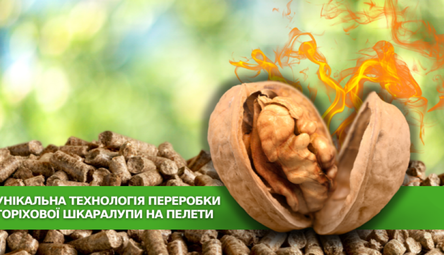Відходи в прибуток: унікальна технологія переробки шкаралупи волоських горіхів на пелети