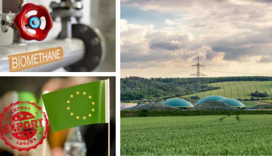 Біометановий бізнес: українські виробники нарощують свою присутність у біоенергетиці