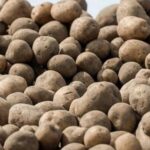 Продажі картоплі падають