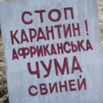 Черговий спалах АЧС у Вінницькій області