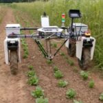 Phoenix Bot: представлений інноваційний робот для прополки