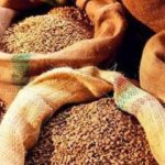 Аграрні ноти та біржова торгівля зерном відкриють аграрний сектор для нових джерел капіталу