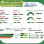 Тенденції ринку зернових та олійних з 17 по 24 березня