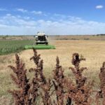 Аграріям обіцяють нову хвилю державної підтримки