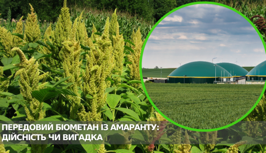 Удосконалений біометан з амаранту: реальність чи вигадка?