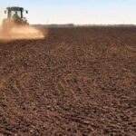 В Україні стартувала весняна посівна: які культури сіють аграрії?