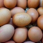 Україна вдвічі збільшила експорт яєць: чи зростуть ціни?