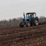 Яра посівна-2025: засіяно понад 550 тис. га