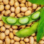 Ціни на сою в Україні ростуть: попит залишається, пропозиція обмежена