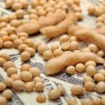 Українські соєві боби можуть виграти від тарифної війни між ЄС і США, вважають аналітики