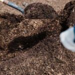 Як зробити компост за місяць, а не за рік, і при цьому збагачений повним спектром корисних мікроорганізмів