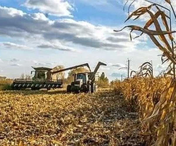 Ціна тонни українського аграрного експорту зростає, – міністр