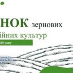 Підсумки березня на ринку зерна та олійних