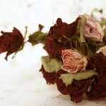 Чому народні прикмети забороняють тримати в будинку букети із сухоцвітів