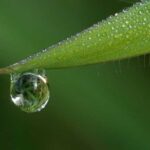 Агрометеорологічні умови квітня були несприятливими для сільськогосподарських культур, – Укргідрометцентр