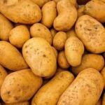 Ціни на картоплю продовжують падати