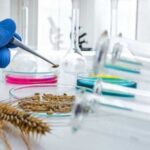 Кабінет міністрів затвердив порядок ведення реєстру ГМО.