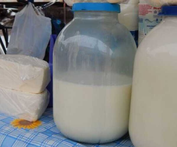 Набули чинності нові правила лабораторних випробувань молочної продукції на ринках