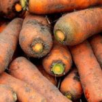 Ціни на моркву падають, але вони в 3,5 рази вищі за минулорічні