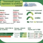 Тижневий тренд ринку зернових та олійних з 24 по 31 березня