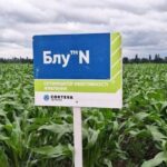 Оптимізатор ефективності поживних речовин Blue™ N від Corteva Agriscience покращує врожайність польових культур – результати дослідження