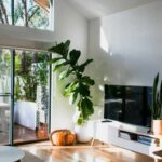 «Зробимо будинок красивим»: Як оновити інтер’єр квітами