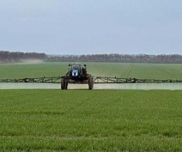 Агротрейд завершив перший етап переробки озимої пшениці