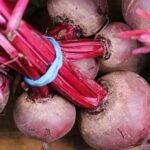 Ціни на буряк ростуть через відкладений попит