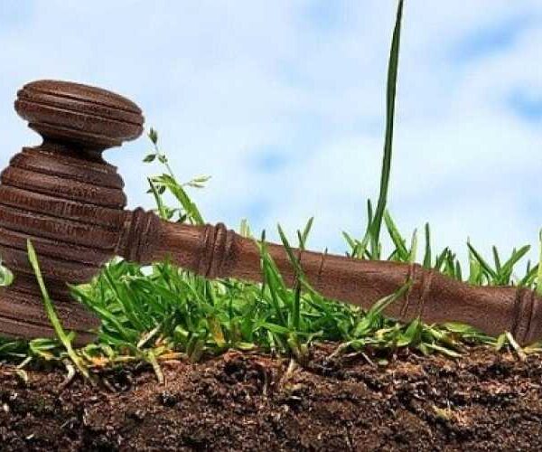 Земельний банк: за тиждень проведено аукціонів на 93,6 млн грн