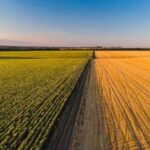 Мінагрополітики проведе навчальний вебінар щодо використання Державного аграрного реєстру