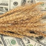 Глобальна невизначеність тисне на ринки, аграрії тримають пшеницю до літа