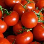Імпортні томати дешевшають через збільшення пропозиції