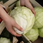 Запаси капусти скорочуються: ціни в 6 разів вищі, ніж роком раніше