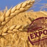 У березні частка сільськогосподарської продукції становила 58% від загального експорту