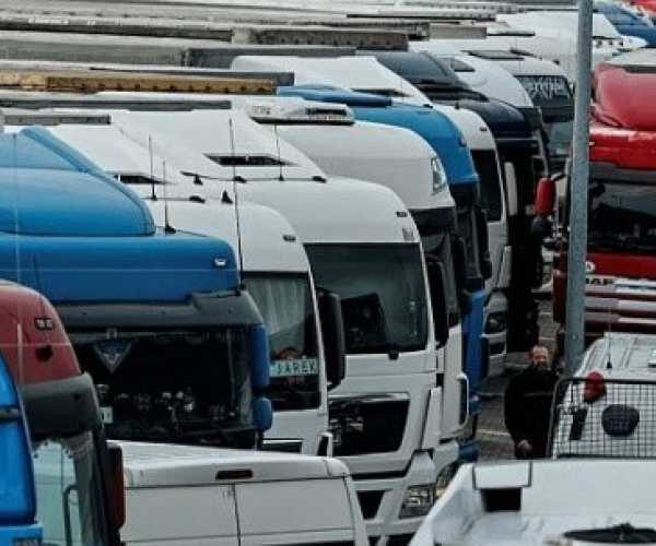 Обсяги експорту сільськогосподарської продукції автомобільним транспортом скоротилися більш ніж на 10%
