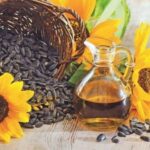 Ціни на соняшник та олію падають: аграрії потерпають від коливань світового ринку
