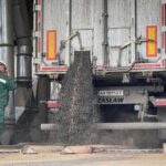 Одеський завод «Allseeds Black Sea» збільшує переробку та експорт олійних культур