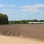 Земельний банк: за тиждень проведено 35 онлайн-аукціонів