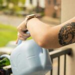 Коли виносити кімнатні рослини на балкон: поради щодо температури та адаптації