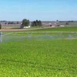 Україна та ЄБРР планують модернізувати зрошувальні системи в Одеській області