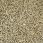 Дефіцит ячменю обмежує подальше падіння цін