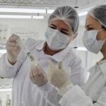 Бразильська компанія починає експерименти з вирощування солодкої картоплі на нуті в космосі