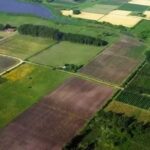 Земельний банк: минулого тижня проведено 34 аукціони з оренди землі