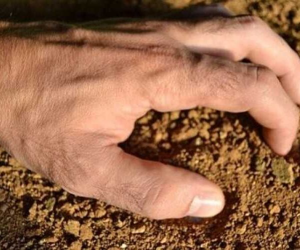 Уряд підтримав спрощення правил використання земель сільськогосподарського призначення державної власності