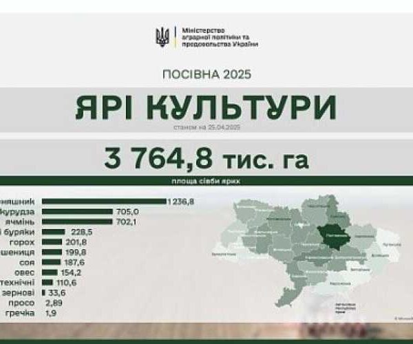 Яра посівна 2025: посіяно 2 млн га ярих зернових та зернобобових