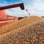 Україна скоротила експорт зерна